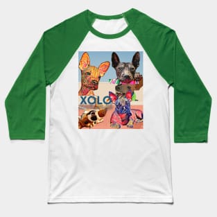 XOLO Darlings (Mexican hairless dogs)  5 puppies Baseball T-Shirt